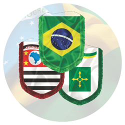 Almeida-Bandeiras-oficiais-bandeiras-personalizadas-bandeiras-de-países-acessórios-para-bandeiras-flâmulas-de-estados-e-capitais